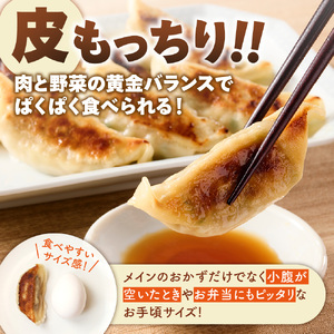 【コープの餃子】60個 | 冷凍餃子 冷凍餃子 冷凍餃子 餃子 餃子 餃子