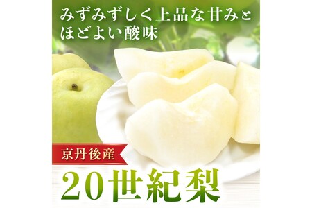 【先行予約／数量限定150】20世紀梨 5kg（2026年9月上旬～発送）