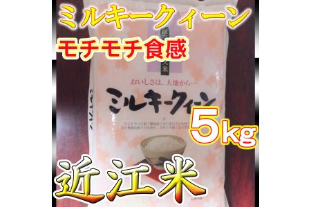 【6年産】近江米ミルキークイーン【5kg×1袋】【T029U1】