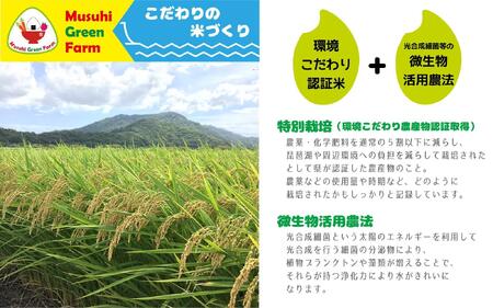 【米粉】パン・製菓用ミズホチカラ（特別栽培）500g入4袋セット