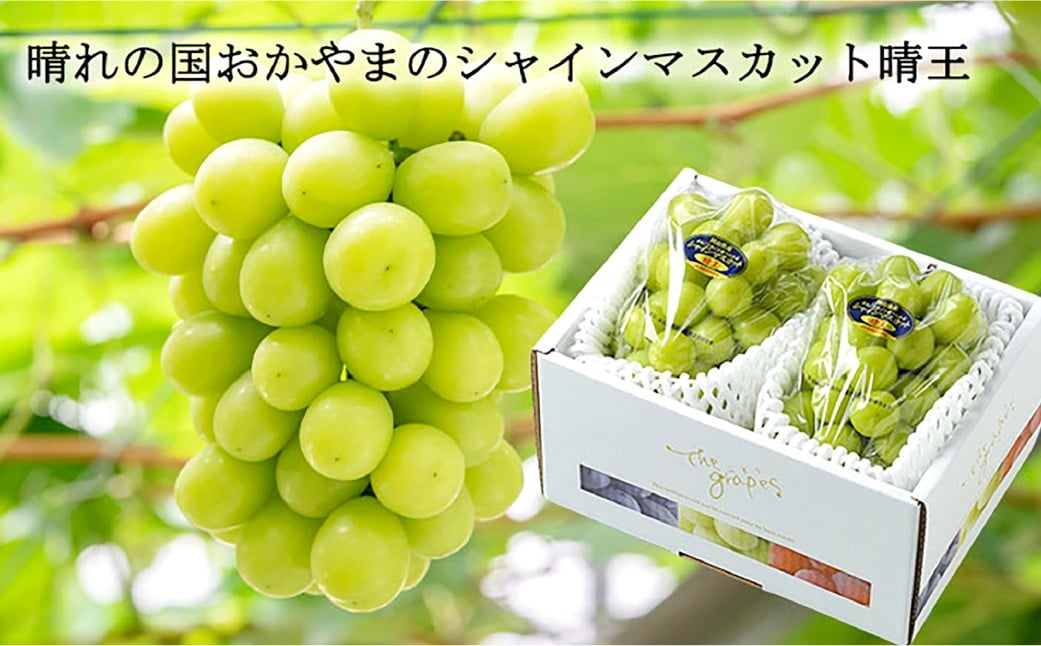 ご家庭用 シャインマスカット 晴王 3～6房 計約2kg
