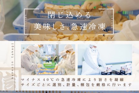 こだわりの一品！冷凍ほたて貝柱500g(20玉前後入 北海道 野付産 化粧箱入り)【KT0000004】  （ ほたて ホタテ 帆立 貝柱 北海道 野付 人気 ふるさと納税 ）