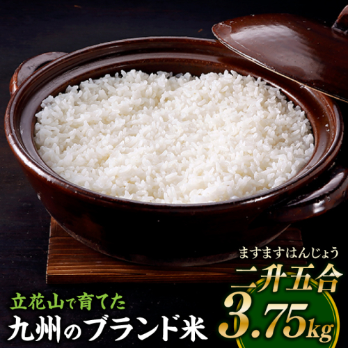 AA444.【期間限定】立花山で育てた九州のブランド米・3.75キロ【二升五合（ますますはんじょう）】