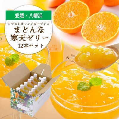 愛媛限定栽培柑橘 まどんな寒天ゼリー12本セット【D25−16】【1255523】