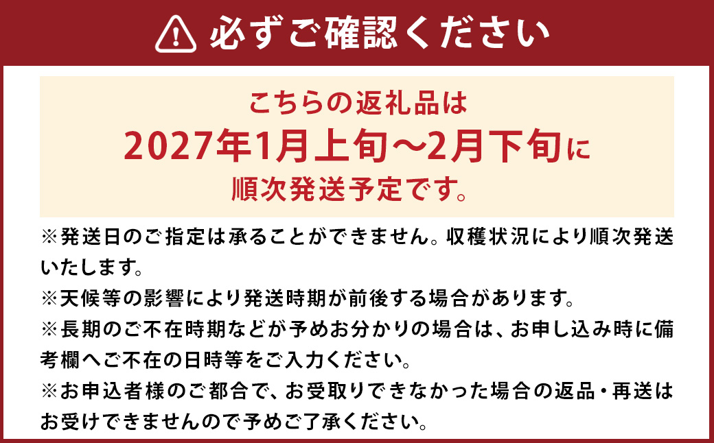 益城産 いちご 500g×1パック 贈答箱入り