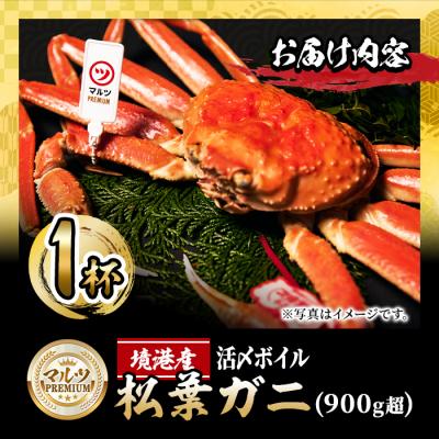 ふるさと納税 境港市 活〆ボイル松葉蟹(900g)PREMIUMタグ付【11月中旬から順次発送】 |  | 03