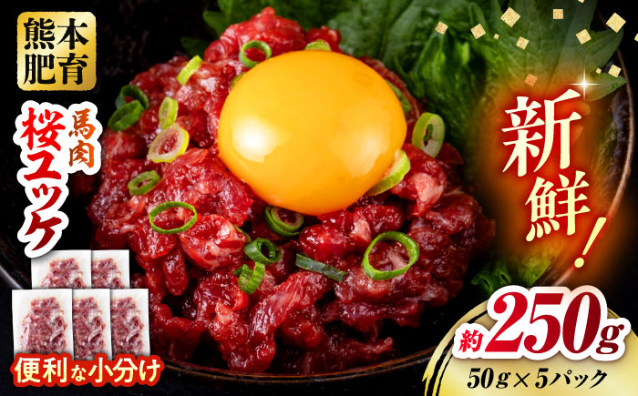 
            馬肉 さくらユッケ 50g×5パック 計250g お肉 桜ユッケ 赤身 生食 小分け 冷凍 馬肉 桜肉 ユッケ おつまみ 熊本県 合志市【五右衛門フーズ熊本店】 [AYBV027]
          