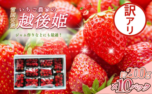 先行予約  いちご 訳あり 越後姫 約200g×10パック セット イチゴ 苺 苺の花ことば