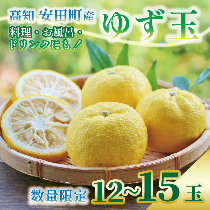 【先行受付】 安田町産 ゆず玉~料理にお酒にお風呂にどうぞ~ 期間限定 ゆず 12~15玉 柚子 果物 柑橘 フルーツ スイーツ デザート アレンジ 柚子風呂 ゆず風呂 柚子湯 早期予約 季節限定 ふ