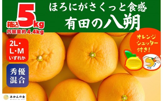 
                  八朔 (はっさく) 玉ぞろい 箱込 5kg(内容量約 4.4kg) 2L L Mサイズのいずれか  秀品 優品 混合 和歌山県産  産地直送［おまけ付き］［みかんの会］
                
