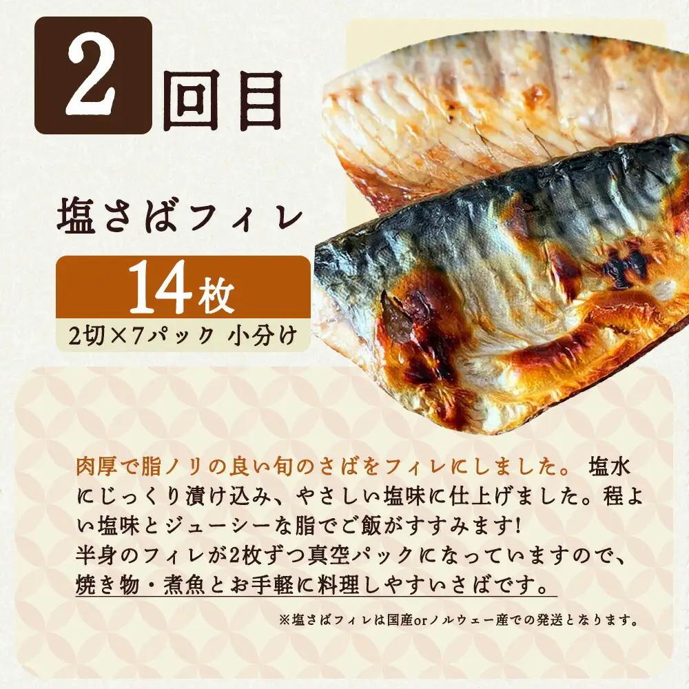 【定期便 全3回】魚鶴商店が選ぶ人気お魚F(銀鮭切身・サバフィレ・紅鮭切身)_G60-T71