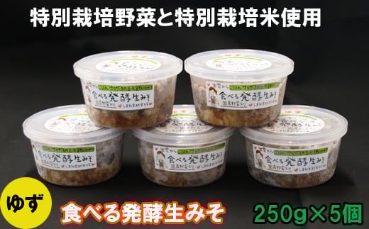 出雲のゆず入り食べる発酵生みそ２５０ｇ×５個【1_1-089】