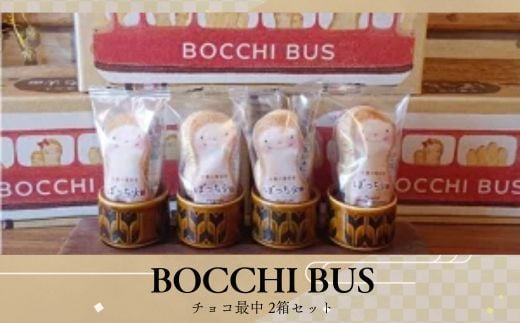 BOCCHI BUS 落花生 チョコ最中 2箱セット / 落花生 チョコ最中 千葉県 千葉半立種 和菓子  最中