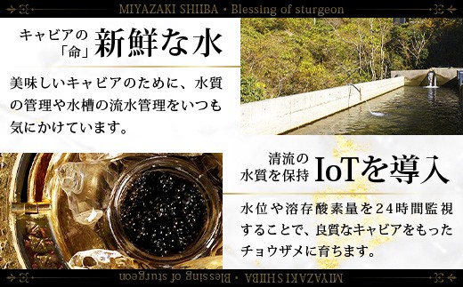 画像はイメージです