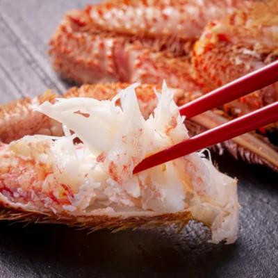ふるさと納税 旭川市 【先行予約】北海道オホーツク産海明け活毛ガニボイル(チルド 冷蔵配送)500g前後×5_03503 |  | 01