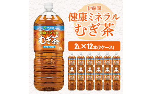 ＜毎月定期便＞伊藤園の健康ミネラルむぎ茶 2L×12本 全6回【4014152】