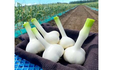 『十勝ひとりぼっち農園』でおなじみ！スゴ腕農家「かずさん」の熟成黒にんにく220g [020-0254]