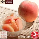 【ふるさと納税】 ＜先行予約＞ もも 川中島白桃 約3kg 6～12玉 ［小布施屋］ 桃 白桃 モモ フルーツ 果物 長野県産 信州産 クール便 冷蔵便 令和7年産【2025年8月下旬～9月上旬発送】