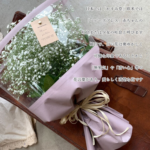 【母の日】サプライズ超BIGサイズ かすみ草ブーケ＜お届け日：2026年5/4～5/10 当店おまかせ ＞母の日カード付き【 母の日 ギフト かすみ草 花 贈り物 大阪府 門真市 】