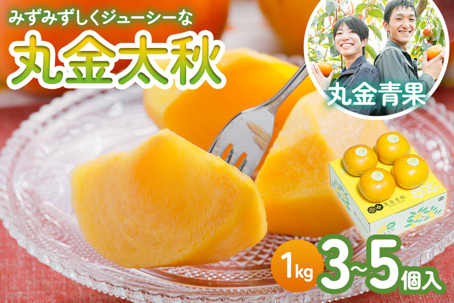 
                  [先行予約] 令和8年産 黄色くても食べ頃！丸金太秋 1kg(3～5個入り)【一口噛めば果汁がしたたるジューシーな甘柿】10月中旬より順次発送 [mt1109]｜かき 太秋 フルーツ 岐阜県 本巣市
                
