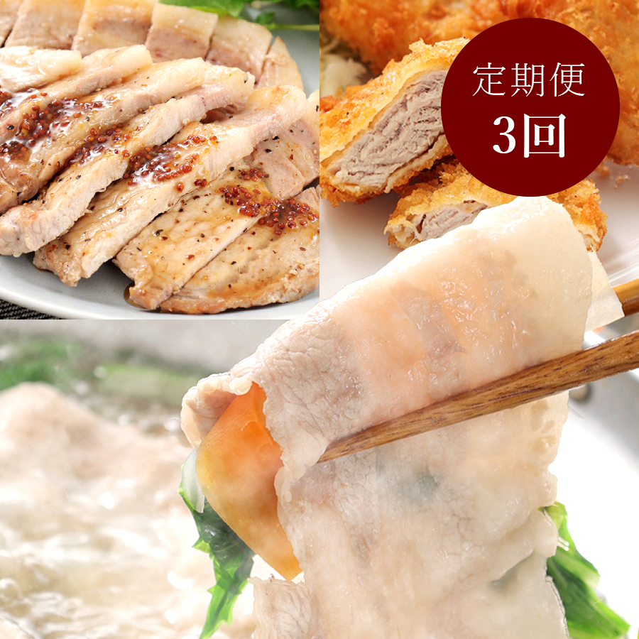 ＜寿屋精肉店＞「知多フレッシュポーク」【3ヵ月定期便】