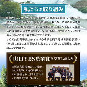 Bセット「甲州桂川の鮎とやまめ」