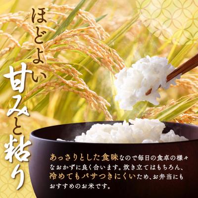 ふるさと納税 恵庭市 北海道恵庭産 ななつぼし　2kg×1袋【67001601】 |  | 01