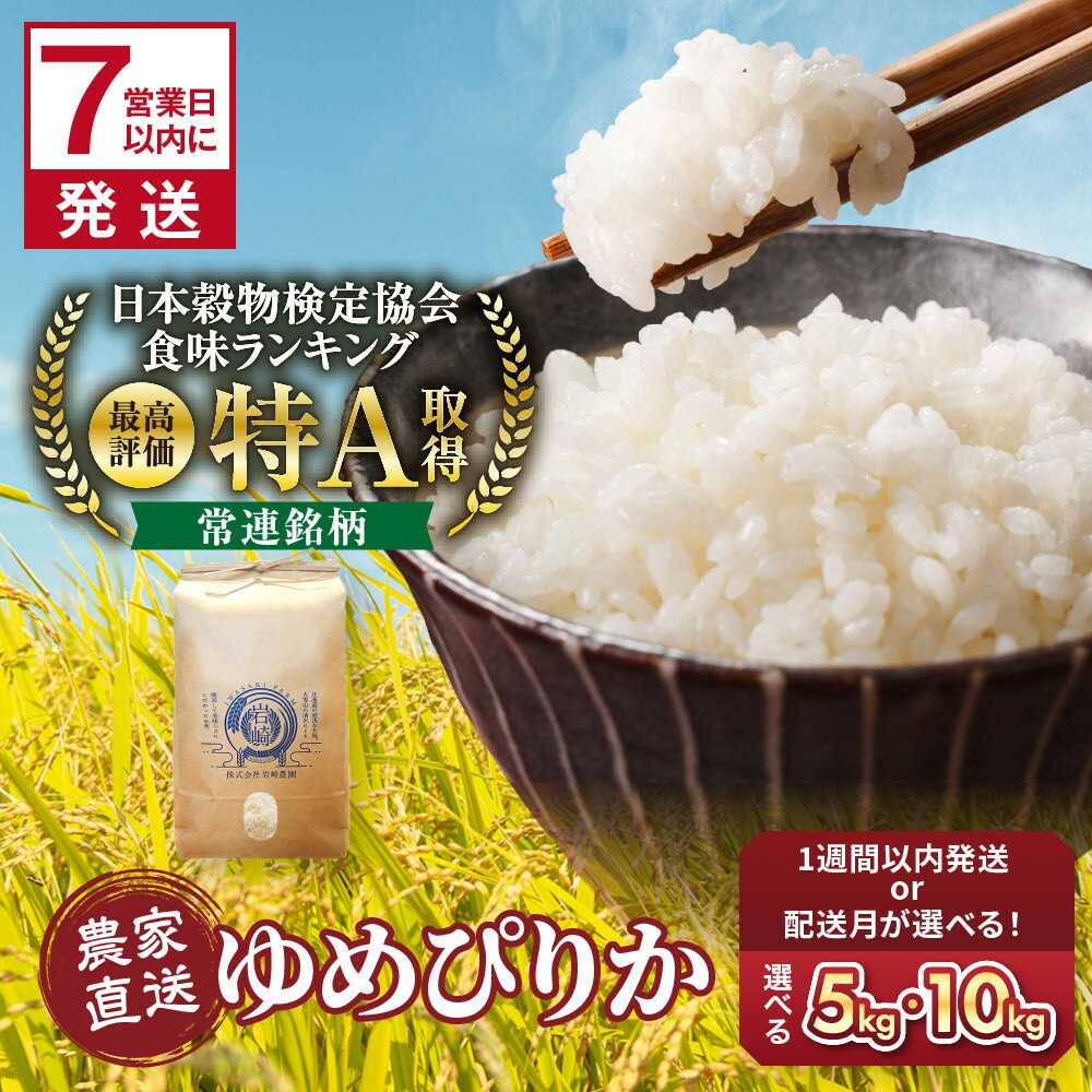 【ふるさと納税】【選べる配送時期】【容量選択可】令和7年産　ゆめぴりか 5kg or 10kg 【 特A 北海道産 白米 精米 ご飯 ごはん 米 5kg お米 ゆめぴりか 旭川市ふるさと納税 北海道ふるさと納税 旭川市 北海道 】 ●