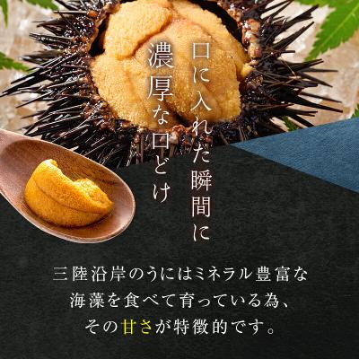 ふるさと納税 山田町 三陸山田 極上 甘うに【先行予約】 150g×5パック 令和9年4月以降発送 |  | 01