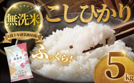 【令和7年産】千葉県産 無洗米 コシヒカリ 5kg 米 お米 こしひかり okome kome 国産 精米 白米 むせんまい 便利 肉 にあう 魚 にあう おむすび おにぎり おかず にあう 美味しい グルメ 朝食 贈答 取り寄せ ギフト 鍋屋商店 千葉県 東金市