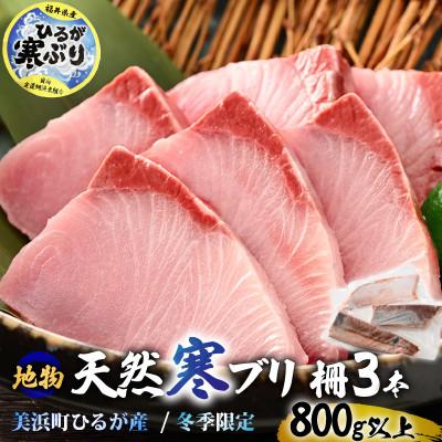 ふるさと納税 美浜町 天然!地物!ひるがの寒ぶり 柵3本【合計800g以上】