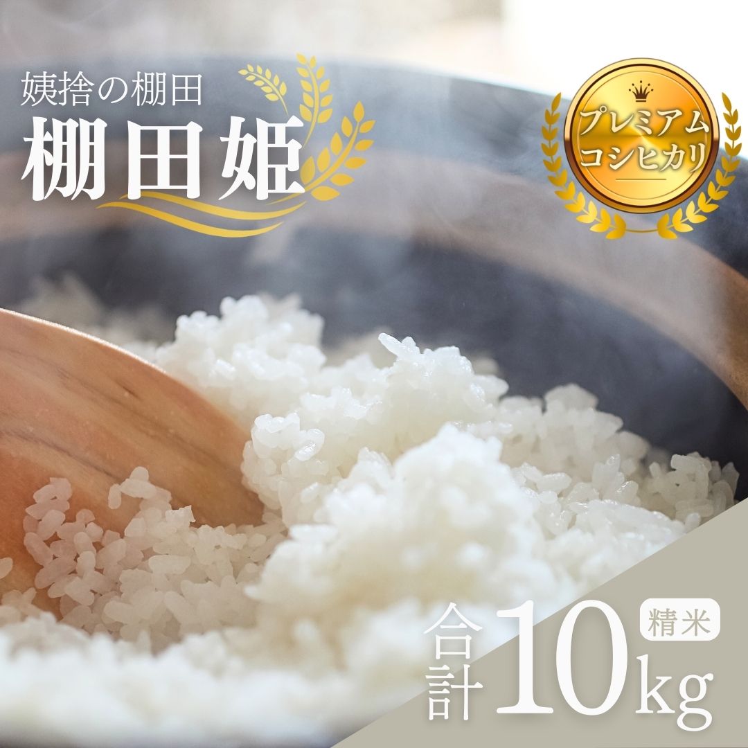 【ふるさと納税】【令和7年産新米予約】姨捨の棚田 プレミアム コシヒカリ 「 棚田姫 」 10kg| 信州 長野 千曲市 送料無料