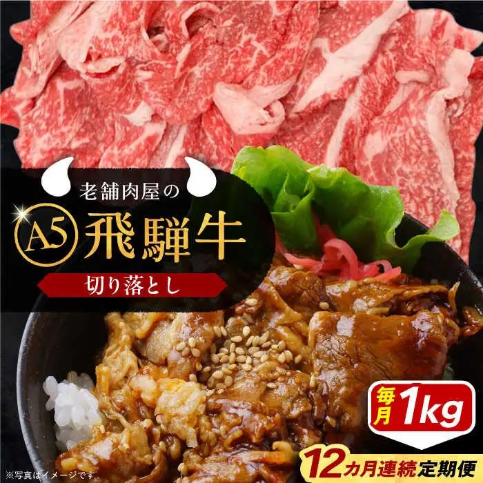 【12回定期便】 飛騨牛 切り落とし肉 A5ランク 500g×2パック (1kg) / 恵那市 / 岩島屋 [AUAJ035]