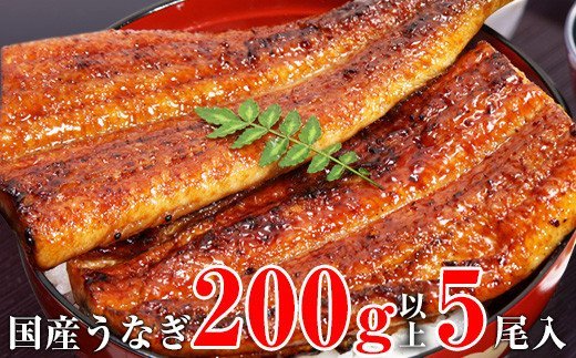 489.【うなぎ屋かわすい】超特大サイズ国産うなぎ蒲焼き5本セット（合計1kg）(A489-2)