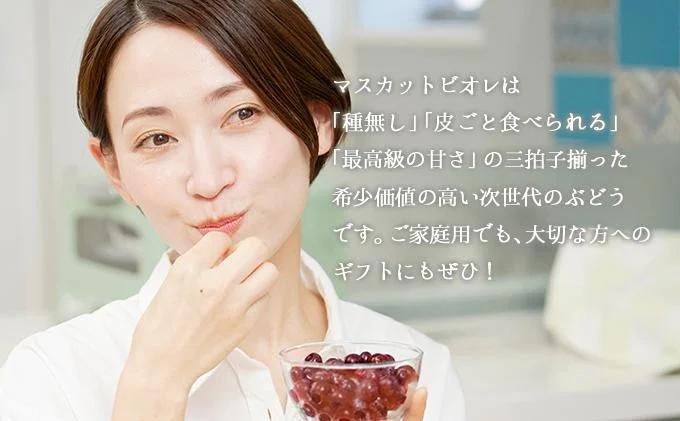 ＜2026年発送分 先行予約＞10月～11月発送お土産マスカットビオレ1kg箱【029-a009】