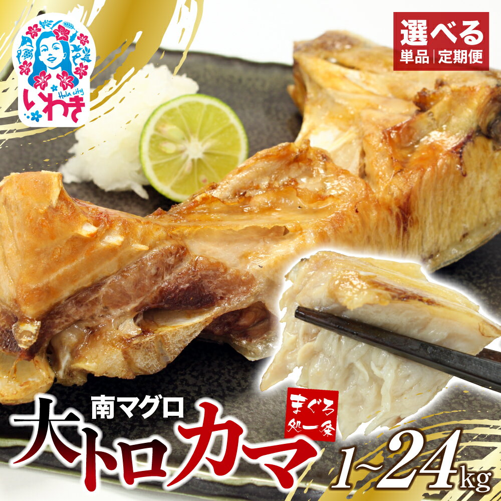 【ふるさと納税】 南マグロ 大トロ カマ 1kg 2kg 加熱用 選べる 回数 定期便 ｜ 冷凍 塩焼き 煮付け まぐろ 鮪 マグロ 焼き魚 高級種 希少部位 まぐろ処一条 年内発送 年内配送 配送月｜
