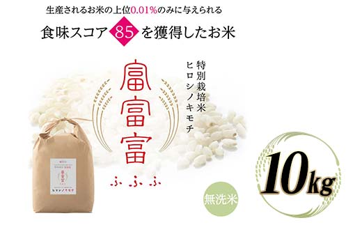 富山県ブランド米 富富富 無洗米 10kg ふふふ ブランド米 国産 米 お米 日本米 ギフト 贈り物 備蓄 防災 食品 陽咲玲 はるざれ F6T-946
