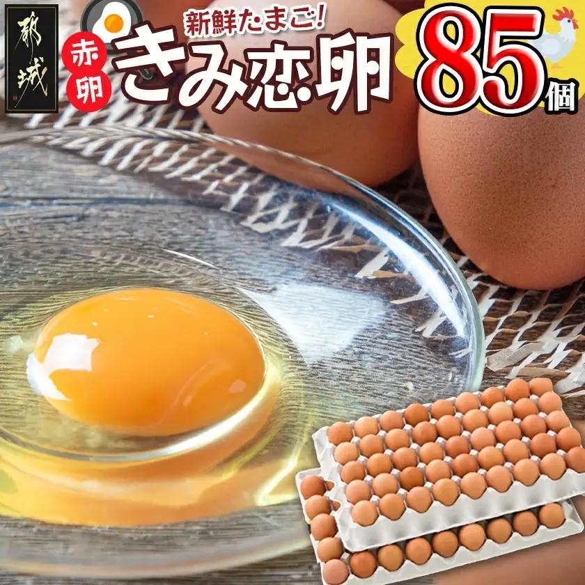 新鮮赤卵「きみ恋卵」85個〔13E-29-011-85〕_(都城市) 赤卵 きみ恋卵 Ｍサイズ 85個 90個 卵かけご飯 ゆで卵 お菓子作り