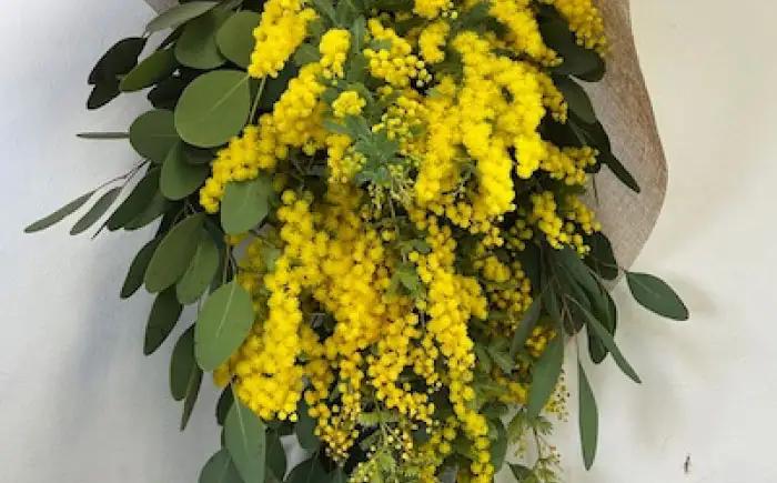 雑貨 ユーカリとミモザのスワッグ / ミモザ ユーカリ スワッグ ドライフラワー ブーケ 花束 花飾り インテリア雑貨 大阪府 / 大阪府藤井寺市/JamFlowerSalon [BLAW001]