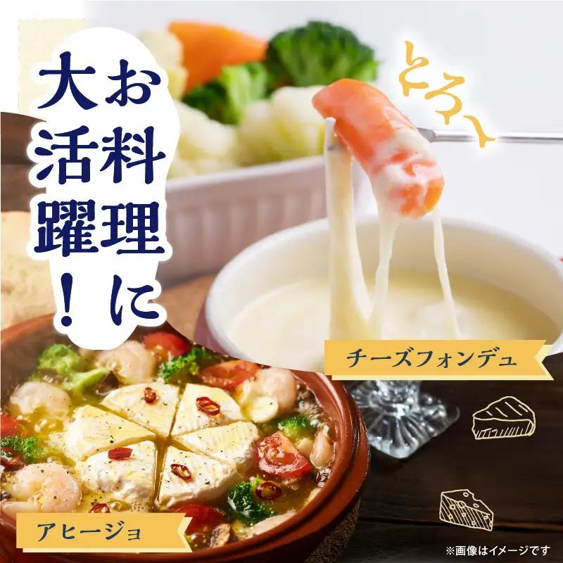 《10日以内発送》 チーズ詰め合わせ チーズ_H0003-101