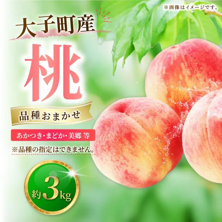【先行予約・数量限定】大子町産「桃」約3kg 品種おまかせ（あかつき・まどか・美郷 等）｜茨城県 大子町 令和8年産 もも モモ フルーツ 果物 おまかせ 詰め合わせ 産地直送 旬 人気 厳選 奥久慈りんご園（AI008）