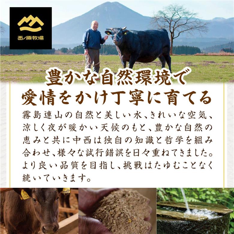 【西ノ原牧場直送】大人気！A４等級以上宮崎牛バラエティ焼肉用　400g（国産 国産牛 肉 牛肉 宮崎牛 ロース 焼肉 特別提供）