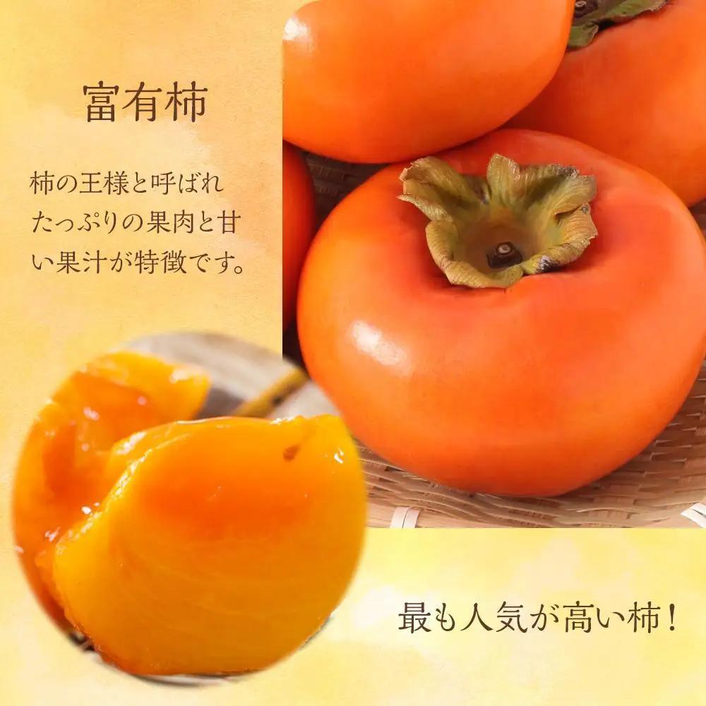 ◆先行予約◆和歌山県産 富有柿＜ご家庭用＞約7.5kg 満杯詰め［2026年11月上旬以降発送］［九度山町産］［MG2］
