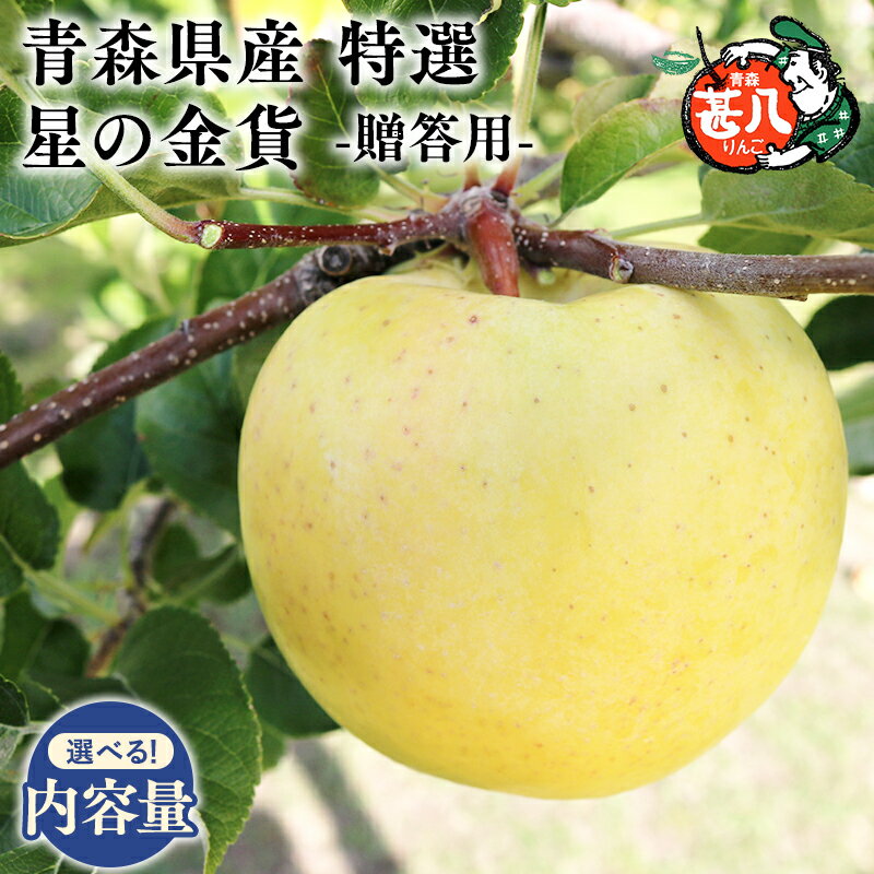 【ふるさと納税】≪内容量が選べる≫青森県産 特選 甚八りんご 星の金貨 3kg 5kg【青森県 平川市 マルジンサンアップル】11月発送 贈答用 青森 青森県産 平川 りんご リンゴ 林檎 くだもの 果物 フルーツ レビューキャンペーン