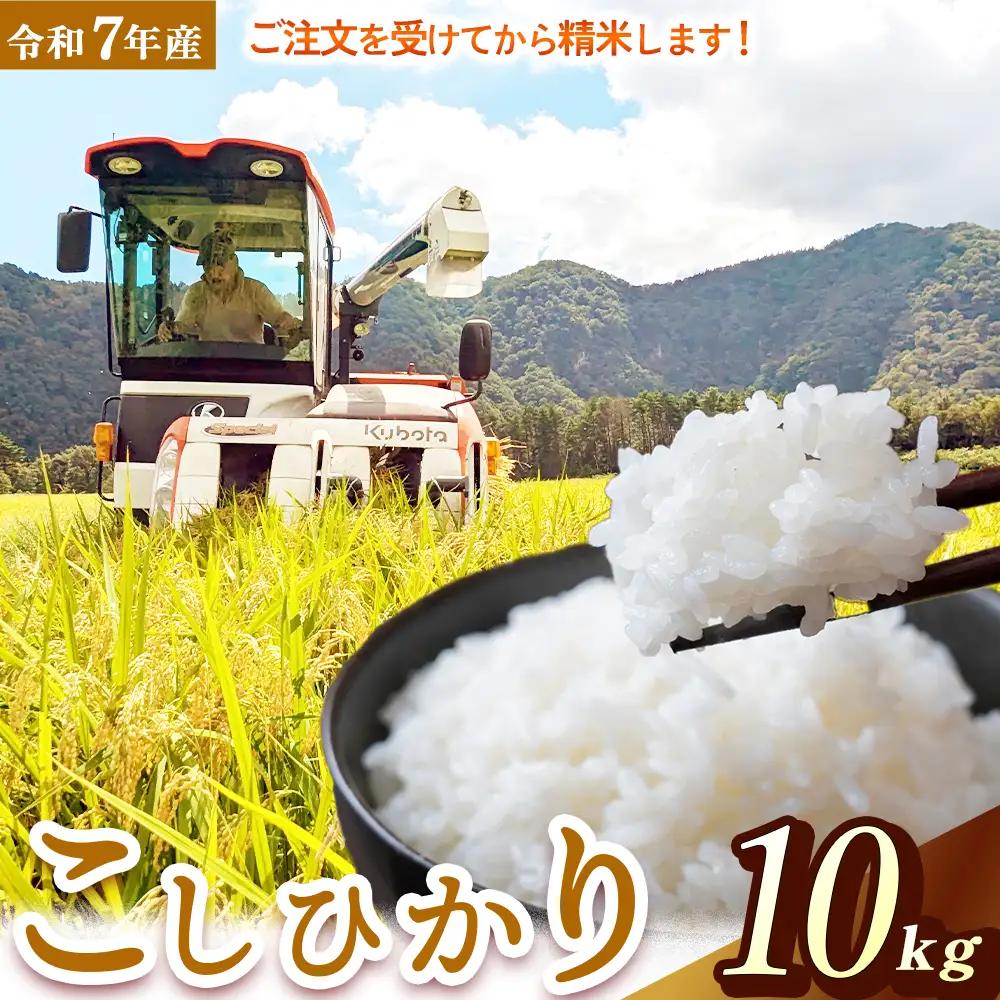 【在庫限定】令和7年産米 コシヒカリ 10kg （山崎農園）数量限定 米 きぬむすめ