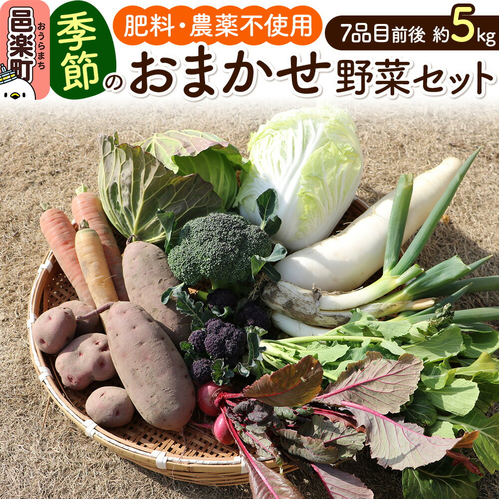 【ふるさと納税】自然栽培 秋冬 季節のお任せ野菜セット Lサイズ