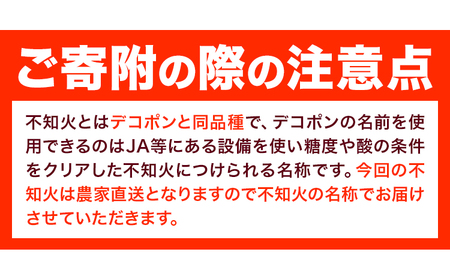 しらぬい 秀品 大玉 不知火 約2kg