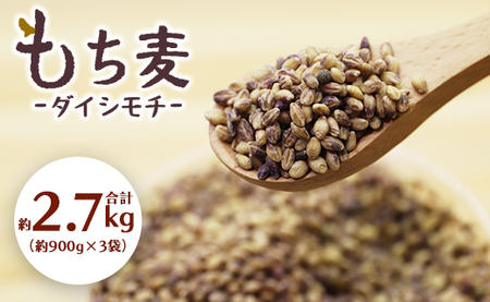 もち麦（ダイシモチ） 合計2.7kg【もち麦 もち麦 もち麦 もち麦 もち麦】 yr-0065