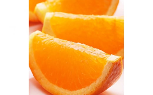 
            ＜2月より発送＞家庭用 清見オレンジ1kg+30g（傷み補償分）◇【光センサー食頃出荷】【樹上完熟きよみオレンジ・清見タンゴール・清美】【わけあり・訳あり】 ※北海道・沖縄・離島への配送不可 ※2025年2月上旬～5月上旬頃に順次発送予定
          