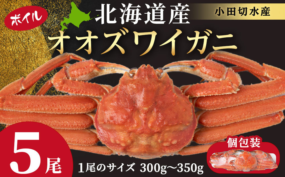 北海道産 大ズワイ 300g～350g ×5尾 ＜斉藤水産＞ オオズワイ 蟹 かに カニ ボイル AM116